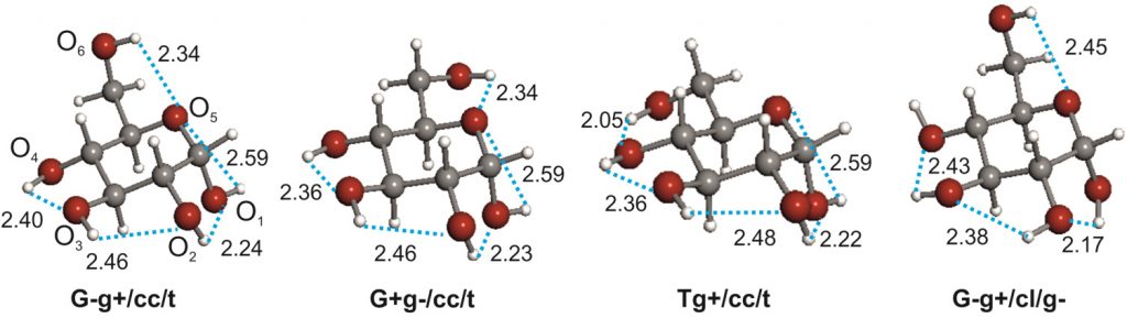 carbohydrates1