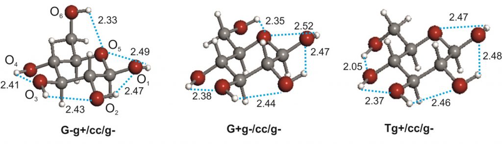 carbohydrates2