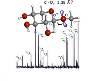 carbohydrates4