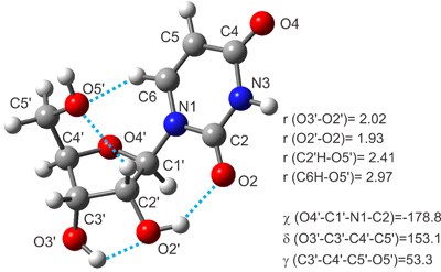 nucleosides